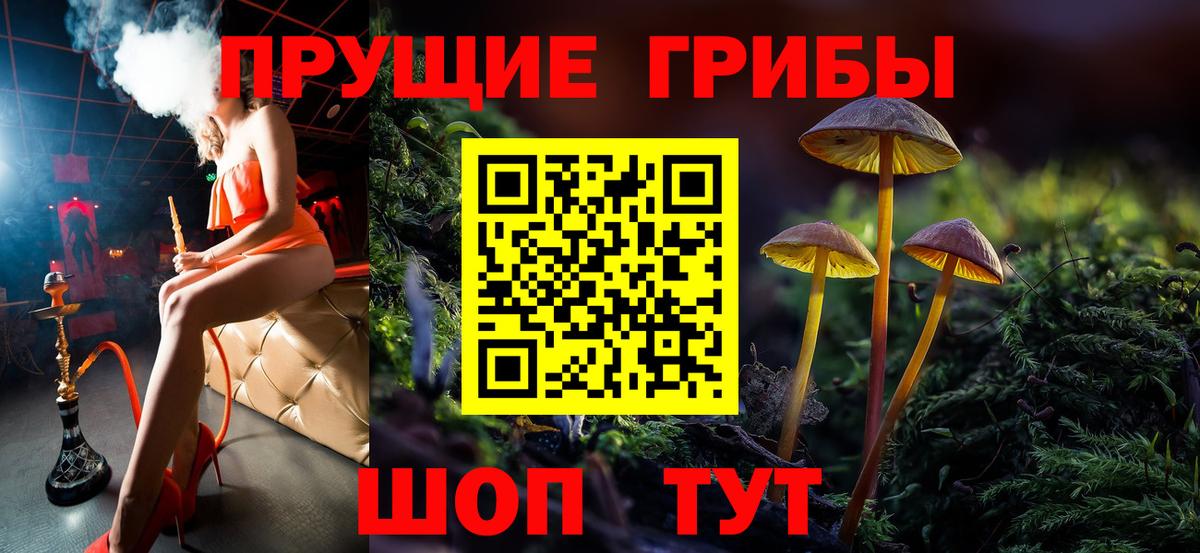 Псилоцибиновые грибы прущие грибы  Вход с VPN  Красноармейск  Псилоцибиновые грибы прущие грибы 